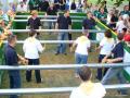gemeindefest2006_008.jpg