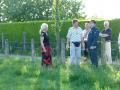 gruenendiek_003.jpg