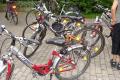 kraeutersuche2008_010.jpg