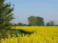 schnadgang_2007_012.jpg